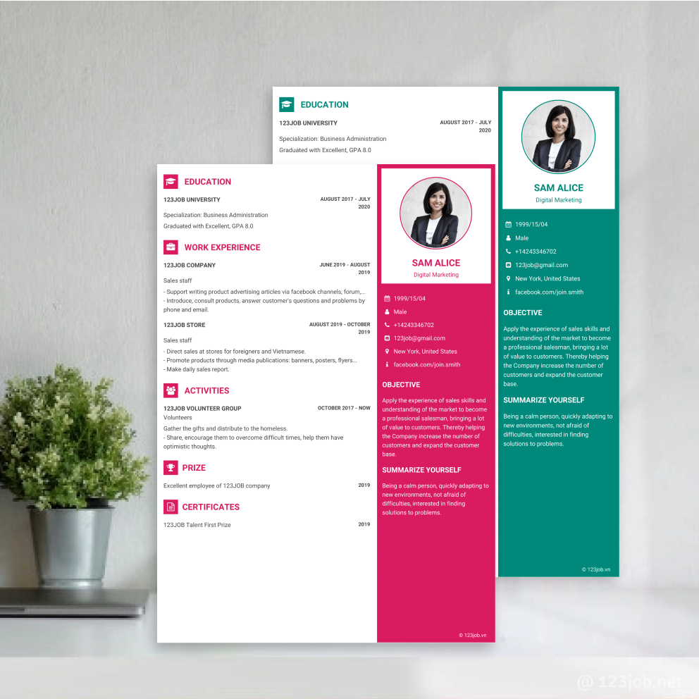 Mẫu CV Chuyên nghiệp - Ấn tượng tiếng Anh