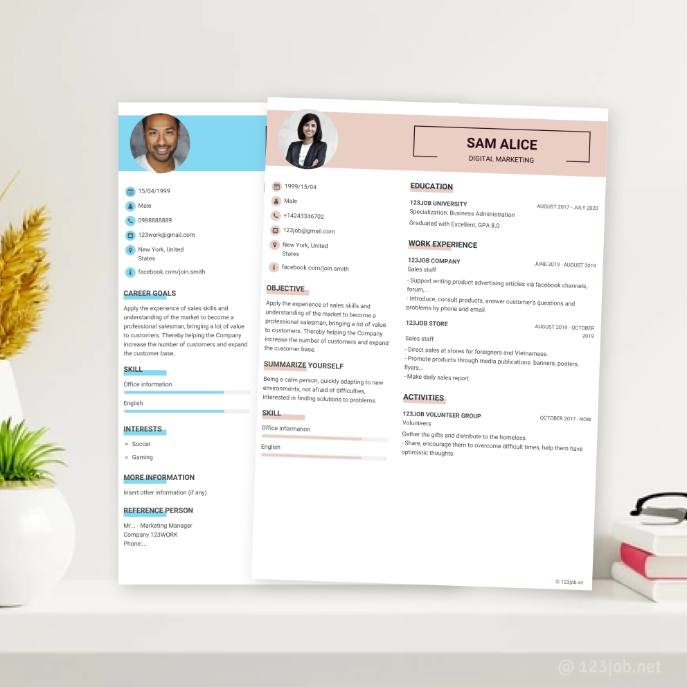 Mẫu CV Tiêu chuẩn tiếng Anh - Thu hút