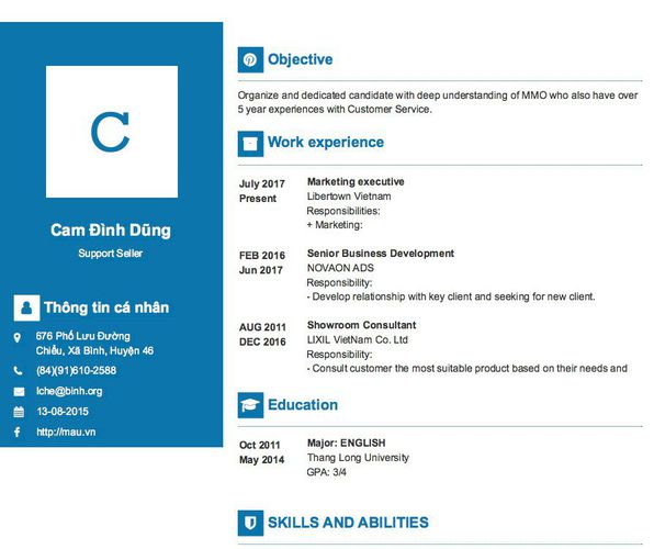 Mẫu CV Support Seller