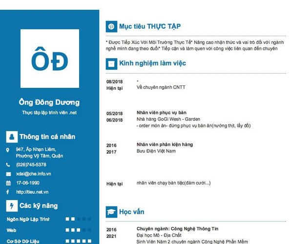 Mẫu CV Thực tâp lập trình viên .net