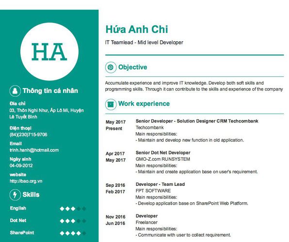 Gợi ý cách viết Mẫu CV tham khảo IT Teamlead - Mid level Developer