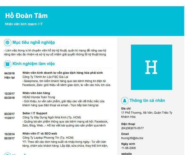 Gợi ý cách viết Mẫu CV tham khảo Nhân viên kinh doanh / IT