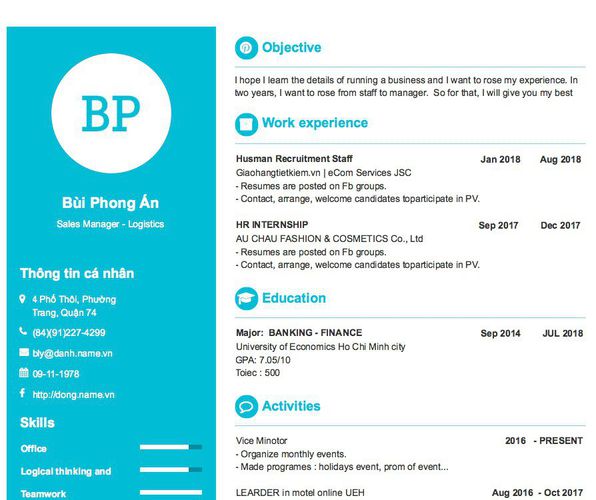 Mẫu CV Sales Manager - Logistics