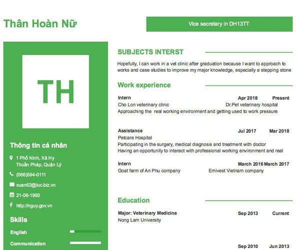 Mẫu CV Vice secretary in DH13TT