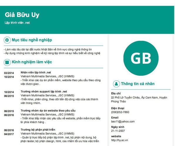 Mẫu CV Lập trình viên .net