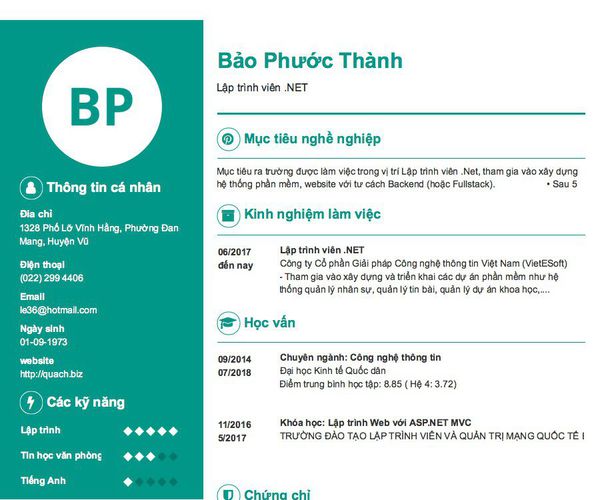 Mẫu CV Lập trình viên .NET