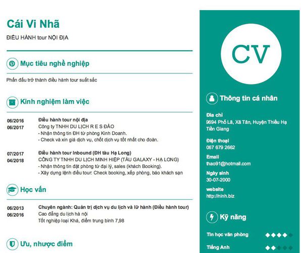 Gợi ý cách viết Mẫu CV tham khảo ĐIỀU HÀNH tour NỘI ĐỊA