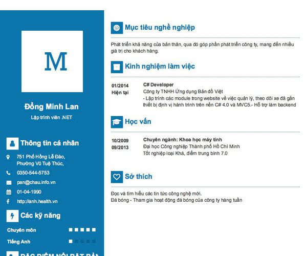 Mẫu CV Lập trình viên .NET