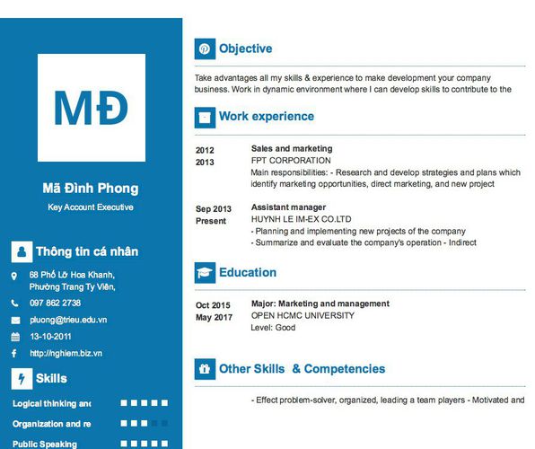 Mẫu CV Key Account Executive