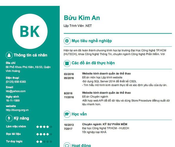 Mẫu CV Lập Trình Viên .NET