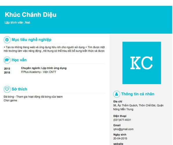 Mẫu CV Lập trình viên .Net
