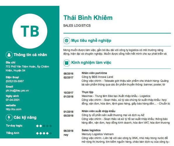 Mẫu CV SALES LOGISTICS