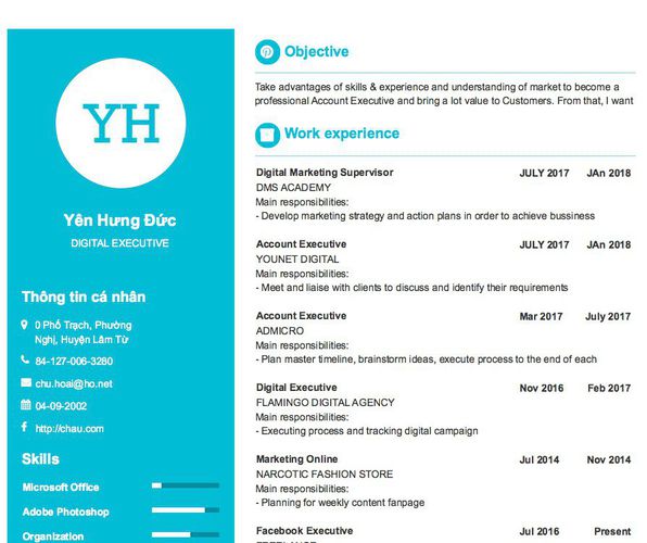 Gợi ý cách viết Mẫu CV tham khảo DIGITAL EXECUTIVE