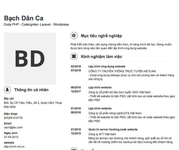 Gợi ý cách viết Mẫu CV tham khảo Code PHP - CodeIgniter- Laravel - Wordpress