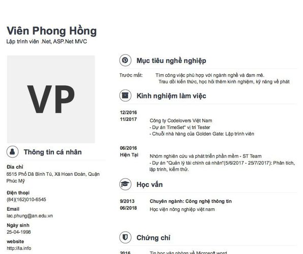 Mẫu CV Lập trình viên .Net, ASP.Net MVC