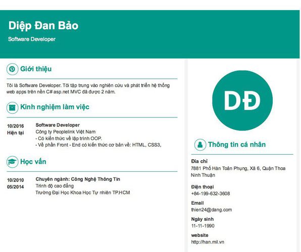 Gợi ý cách viết Mẫu CV tham khảo Software Developer