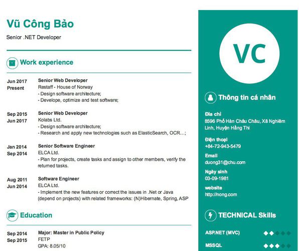 Mẫu CV Senior .NET Developer