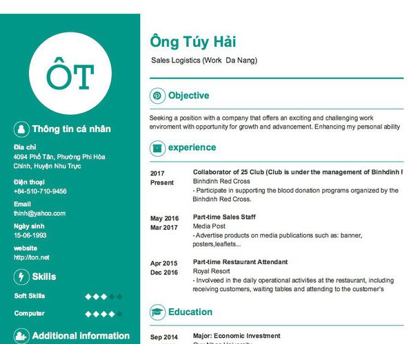 Mẫu CV  Sales Logistics (Work  Da Nang)
