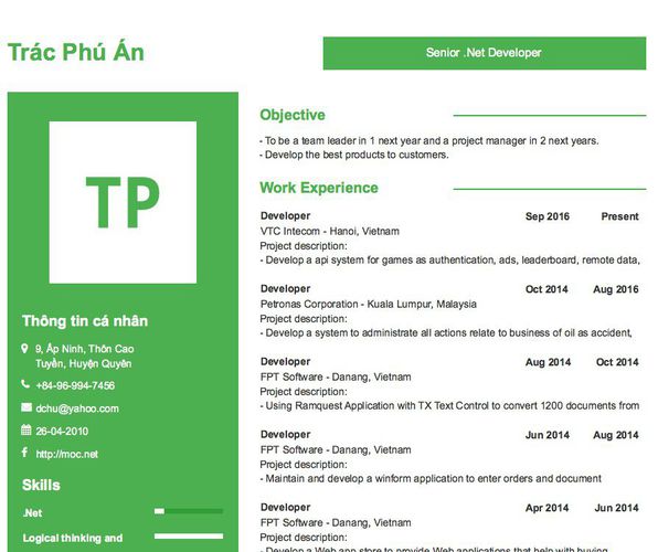 Mẫu CV Senior .Net Developer