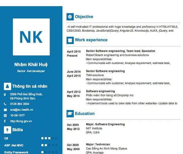 Mẫu CV Senior .Net developer