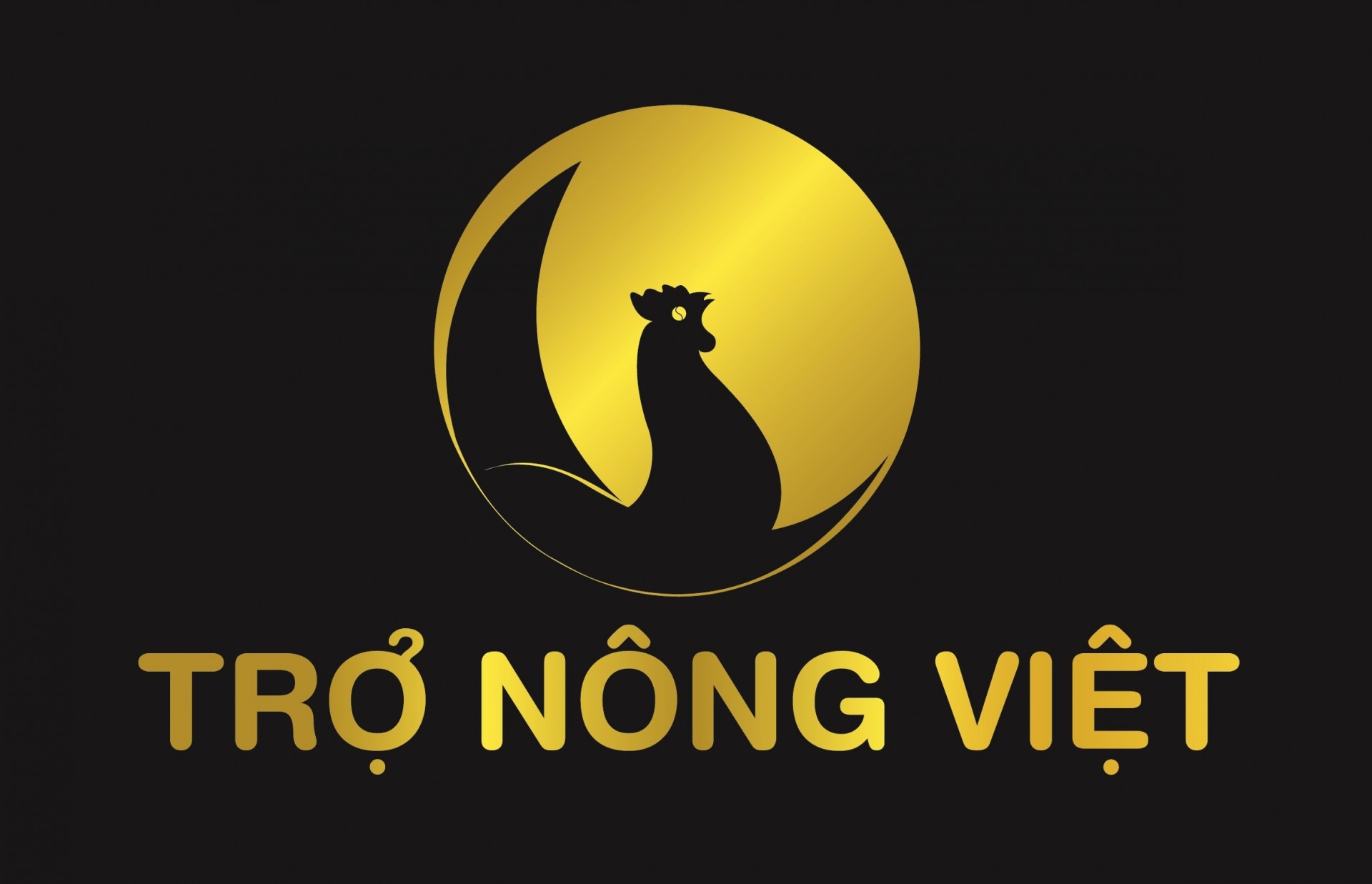 55 Việc làm, tuyển dụng Trợ Lý tại Quận Cầu Giấy, Hà Nội - Môi trường tốt  01/2026 | 123job.vn