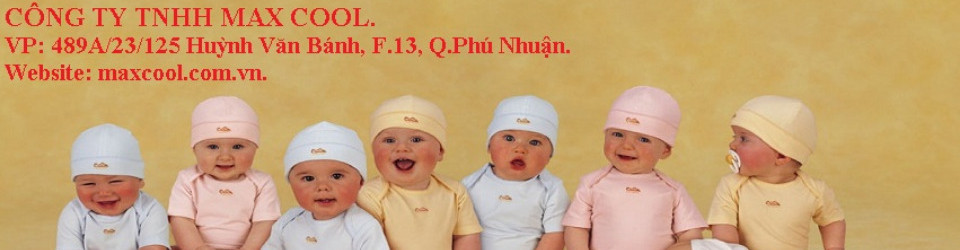 công ty tnhh max cool