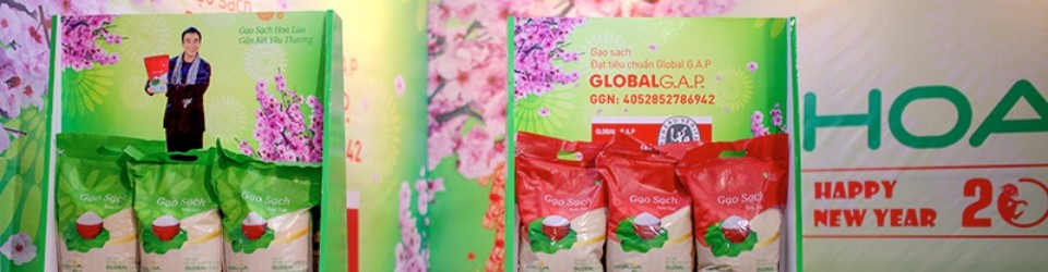 công ty tnhh thương mại gạo hoa lúa