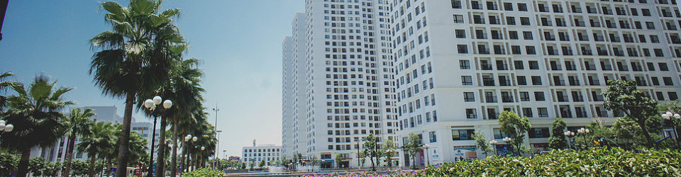 công ty tnhh tư vấn và thương mại hyuuga việt nam