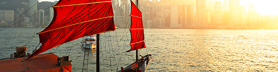 công ty cổ phần consortio việt nam