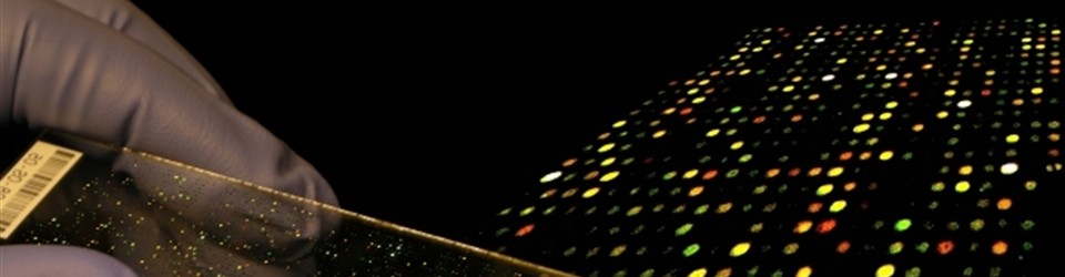 công ty tnhh mtv nhà máy công nghệ sinh học và thiết bị y tế