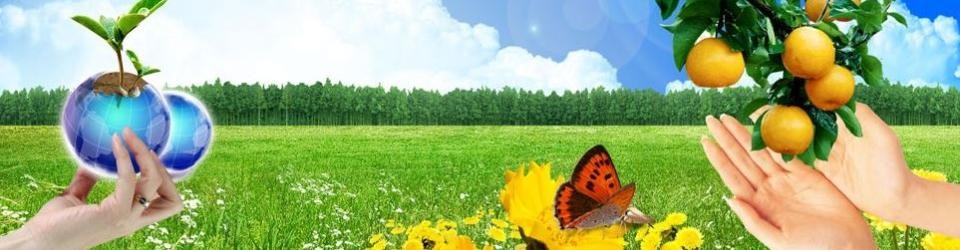 công ty cổ phần sản phẩm hữu cơ hà nội