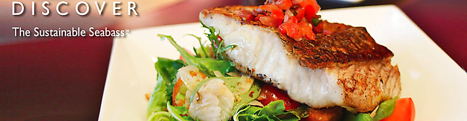 công ty tnhh thủy sản australis việt nam