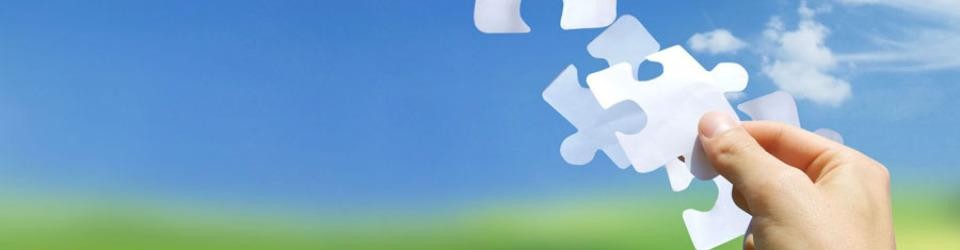 công ty tnhh túi xách simone việt nam tg