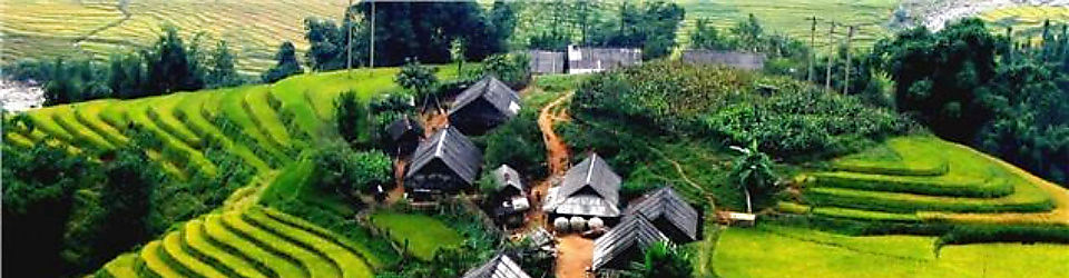 công ty tnhh du lịch phiêu lưu đông dương