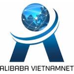 công ty tnhh mtv alibaba vietnam net