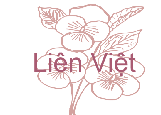 CÔNG Ty TNHH TM & SX Liên Việt