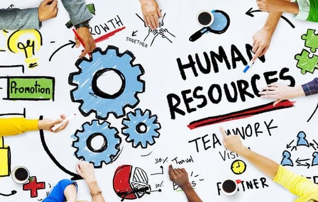 Tiết lộ những dấu hiệu cho thấy một nhân viên có thể trở thành quản lý nhân sự