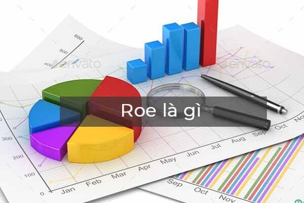 Hệ số ROE là gì? Ý nghĩa và công thức tính của chỉ số ROE