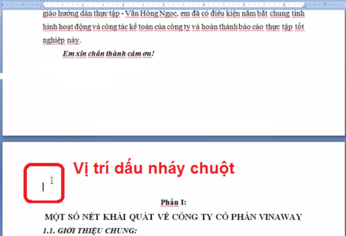 Đánh số trang từ 1 trang bất kỳ trong Word 2007 bước 1