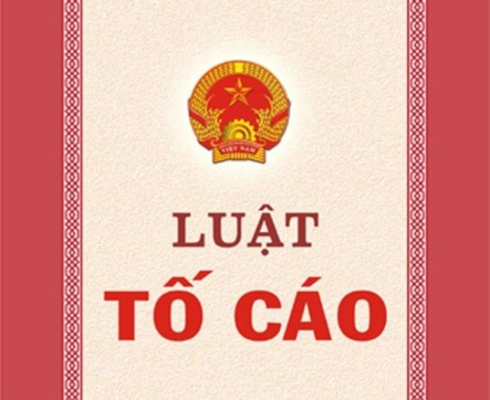 Tố cáo là gì?
