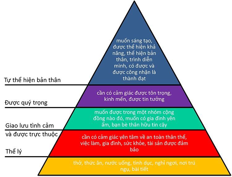 Bật mí những ứng dụng của tháp nhu cầu Maslow trong quản trị nhân sự