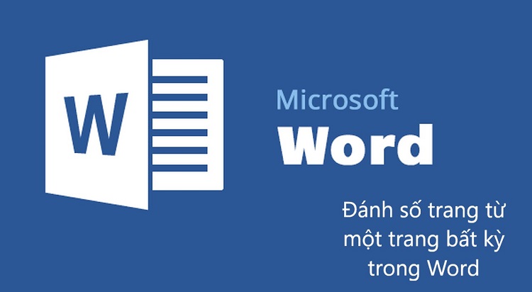 Hướng dẫn cách đánh số trang trong Word chuyên nghiệp nhất