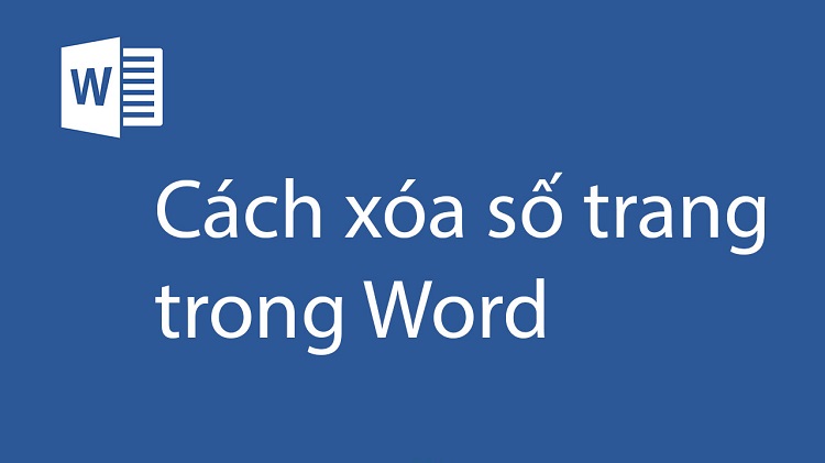 Giải đáp thắc mắc về cách đánh số trang trong Word 