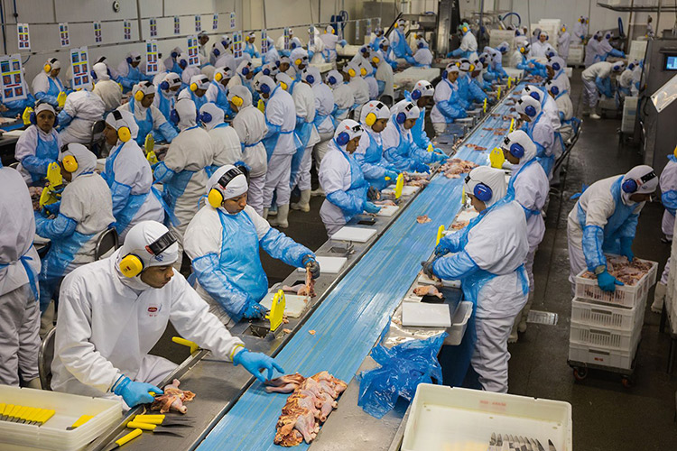 Sản xuất & Chế biến