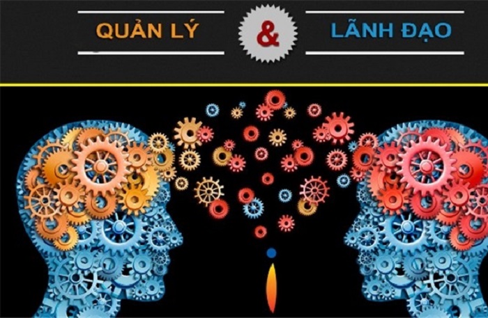 Quản lý & Lãnh đạo