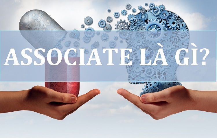Associate là gì? Tất tần tật các khái niệm về Associate (phần 1)