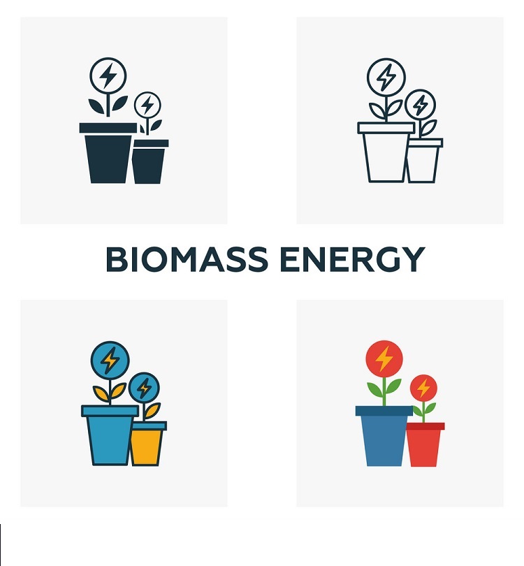 Năng lượng sinh khối là gì? Giải pháp xanh của tương lai