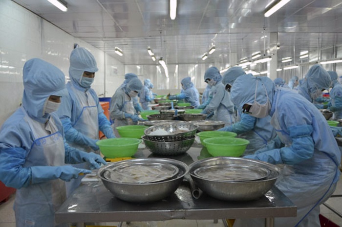 Mô tả công việc nhân viên chế biến thủy sản chi tiết nhất