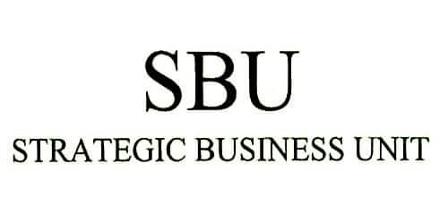 SBU là gì? Chi tiết các áp dụng SBU trong các ma trận BCG, ADL