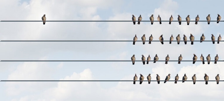 Xây dựng các điểm nổi bật của thương hiệu